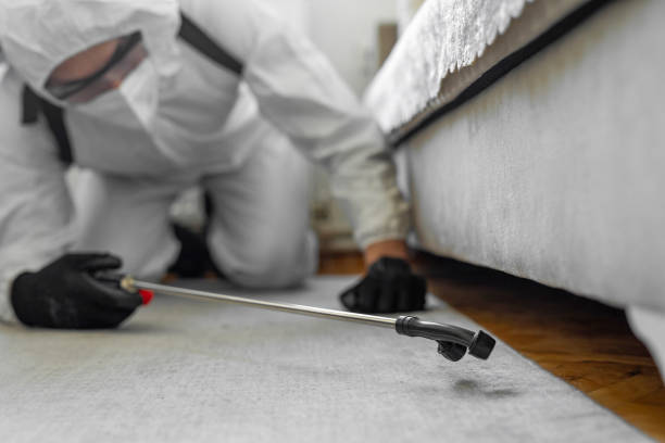 Professional Termite Control technician working in Ben Bolt, TX