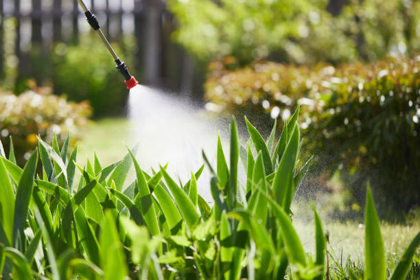 24/7 Emergency Termite Control experts in Ben Bolt, TX